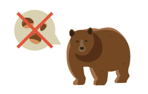 7 Essential Tips to Stay Safe in Bear Territory