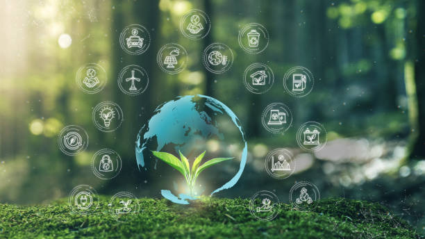 Championing a Sustainable Future: The Role of Environmental Management and Sustainability