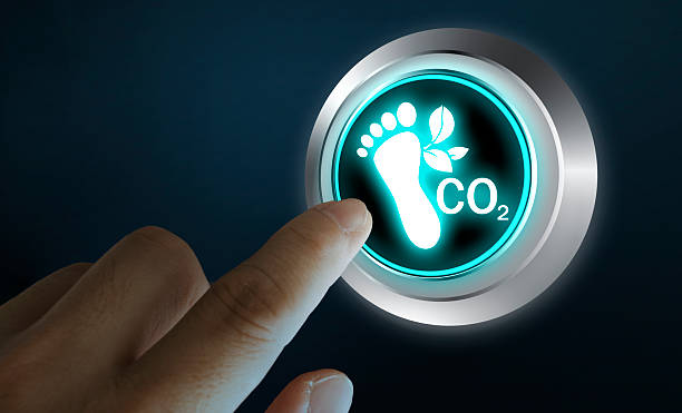 How Small Changes in Digital Habits Can Reduce Your Online Carbon Footprint