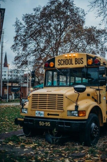 Legal Paths to Justice in School Transportation Injury Cases