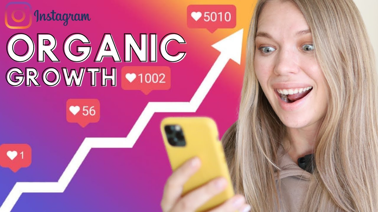 Subscriberz Review – Real Results from Their Instagram Growth