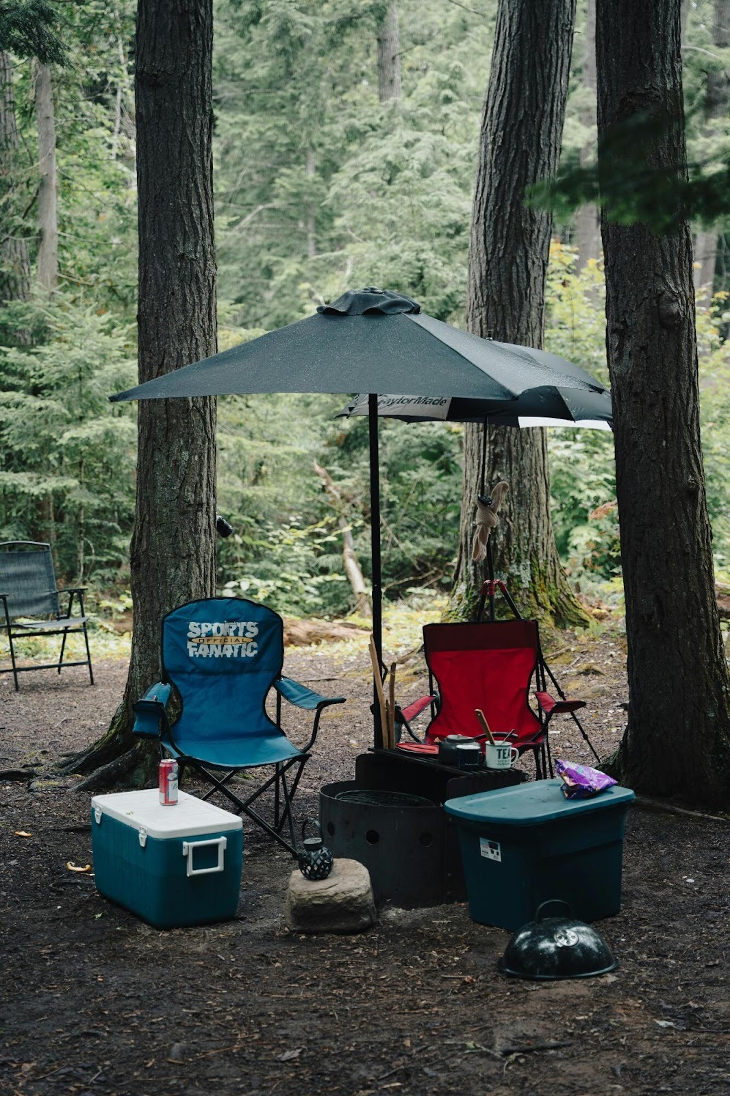 Your Guide to the 5 Different Types of Coolers