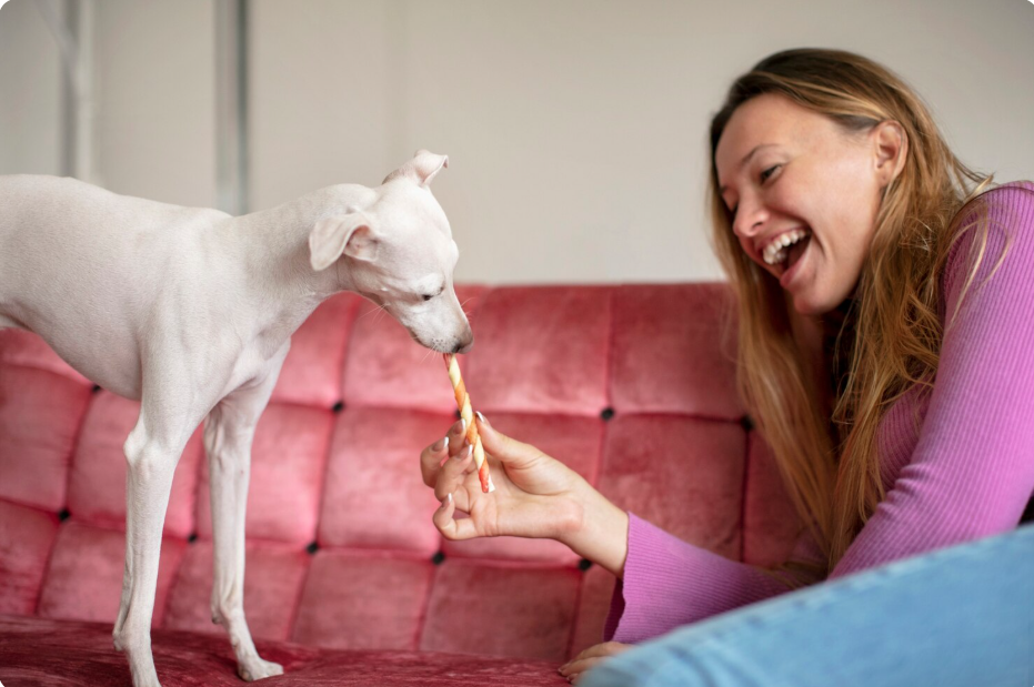 10 Best Dog Treats (2026)