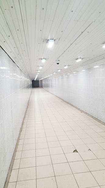 4 Hidden Home Entry Points You Likely Forgot to Secure