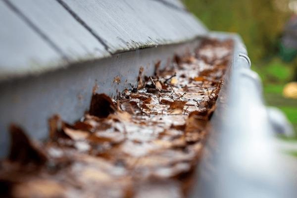 5 Dangers of Ignoring Clogged Gutters
