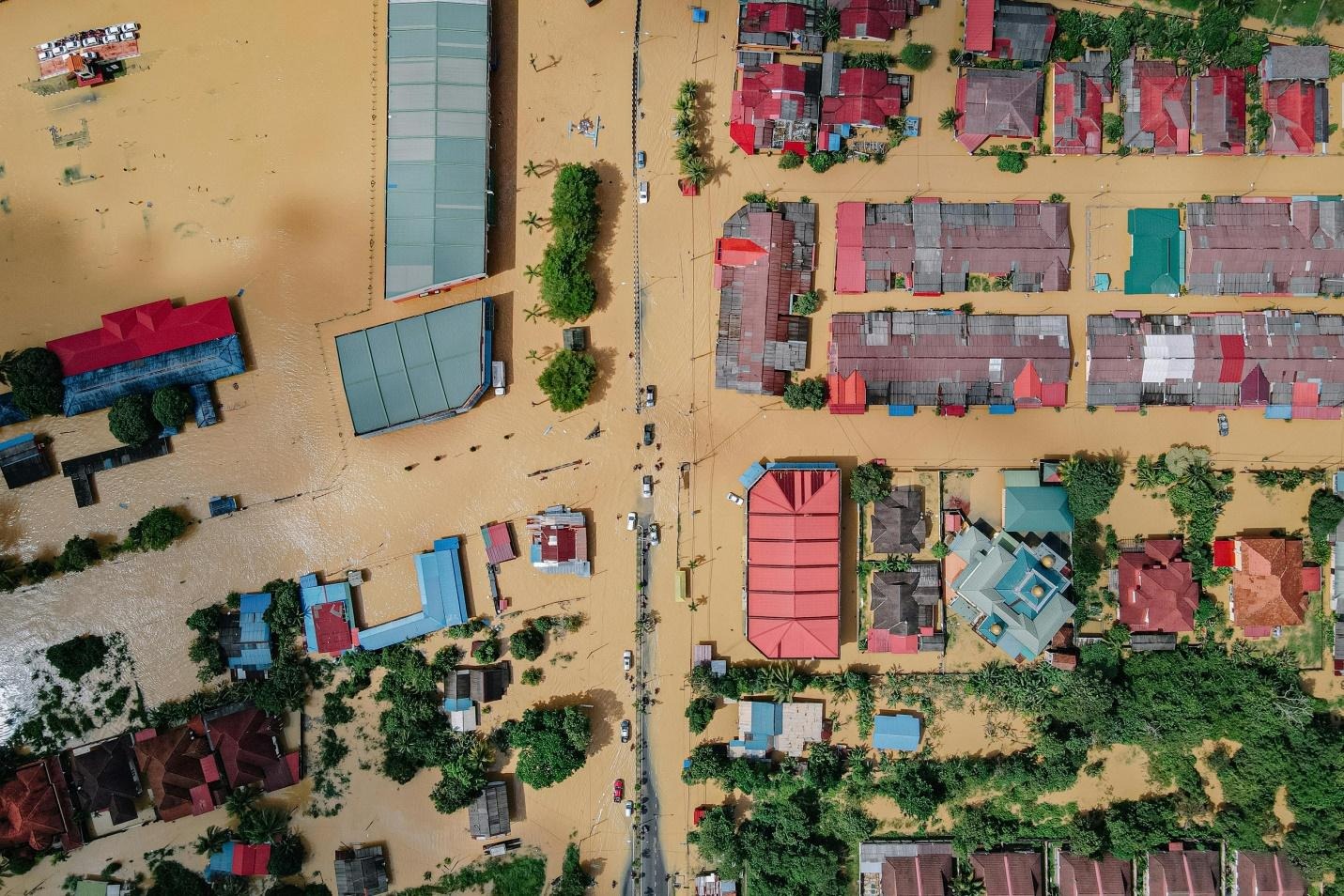 5 Essential Tips to Prevent Storm-Related Water Damage in Your Home