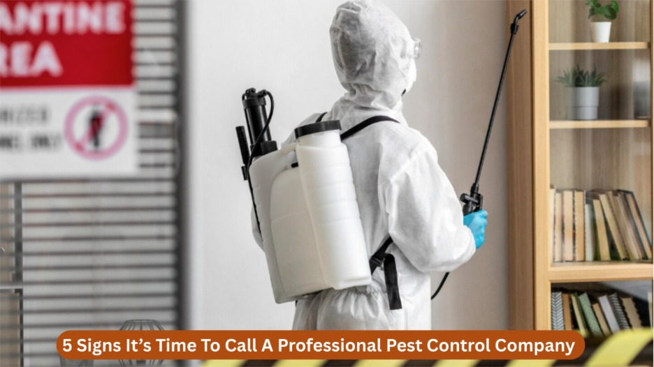 5 Signs It’s Time To Call A Professional Pest Control Company