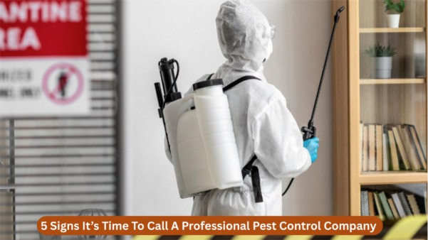 5 Signs It’s Time To Call A Professional Pest Control Company