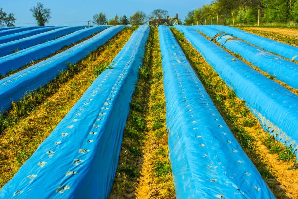 Advantages Of Waterproof Bibs For UK Agricultural Work