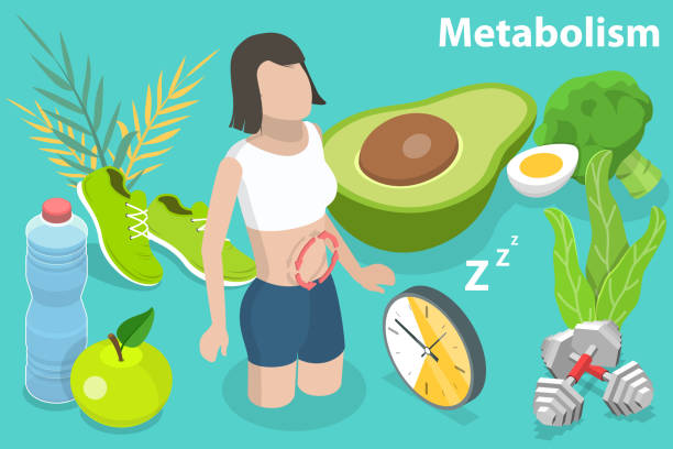 Best Morning Habits to Boost Metabolism Naturally