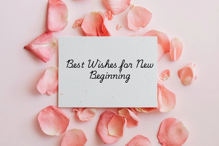 Light-Hearted Best Wishes for New Beginning for Loved Ones