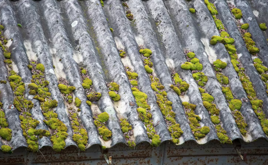 Blasting Moss Off A Cedar Roof Splits The Shakes Underneath