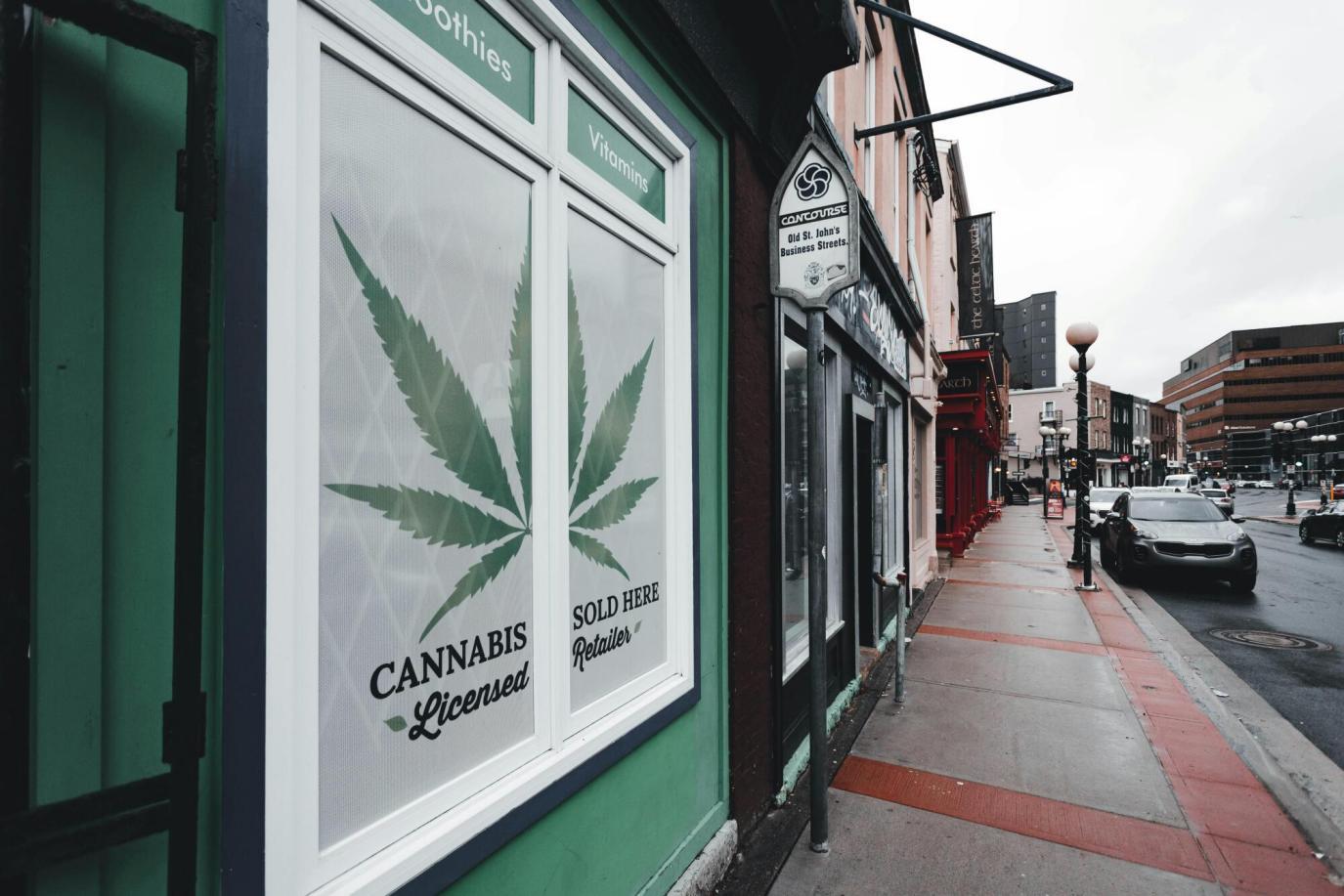 Cannabis Products: Edibles, Oils, Flower, and More Explained