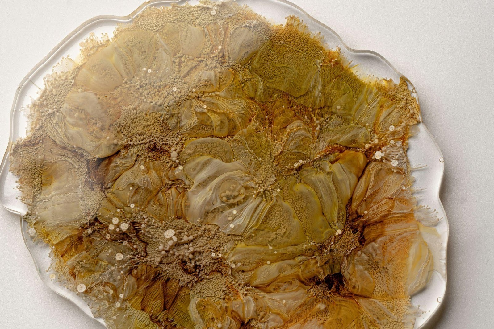 Creative Ways to Use Epoxy in Your Home