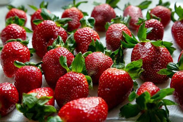 Crisp Strawberry Delights: Fresh Ideas for Dehydrated Strawberry Snacks