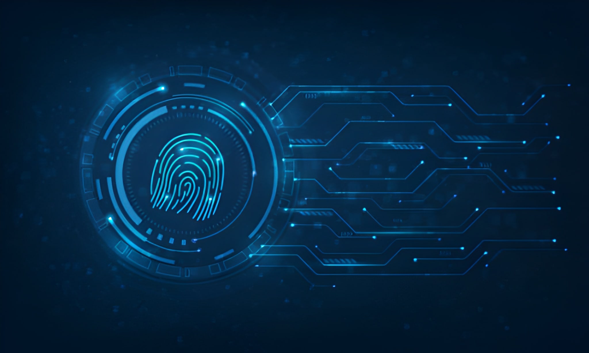 Digital Fingerprint: What It Is and How to Protect Yourself?