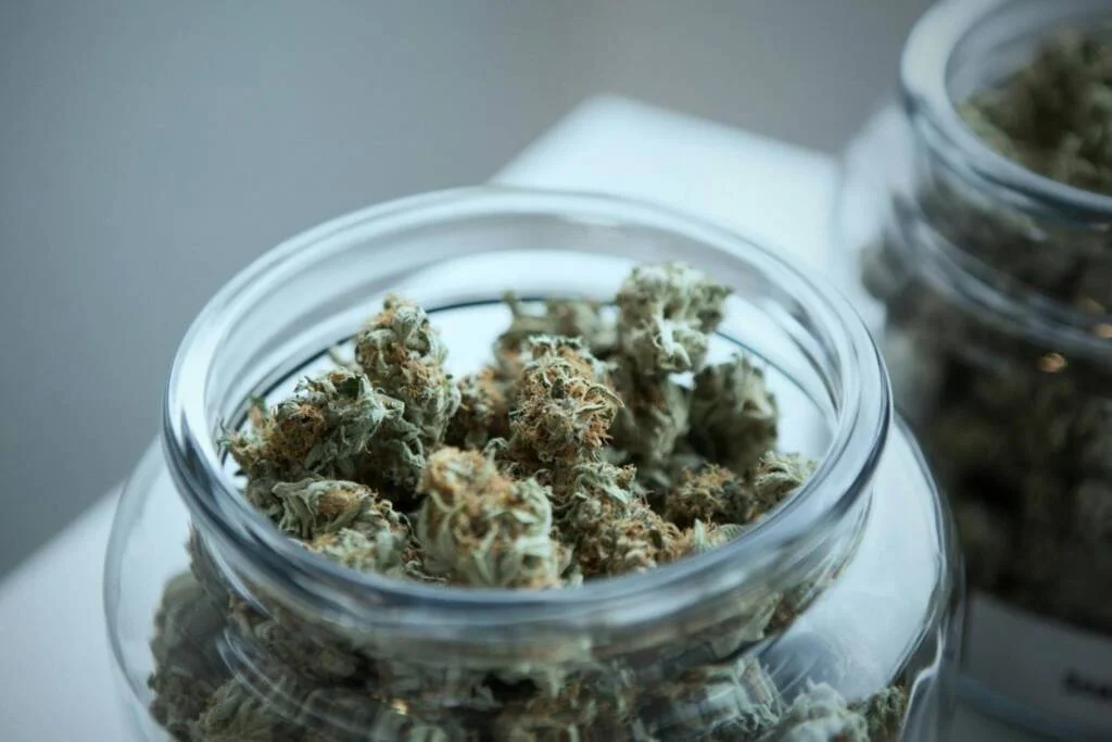 Dispensary Essentials: What Every Customer Should Know