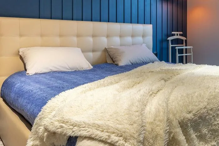 Electric Blankets to Get the Most Out of the Winters