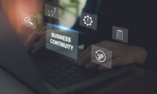 Empowering Business Continuity Through Comprehensive NetSuite Support