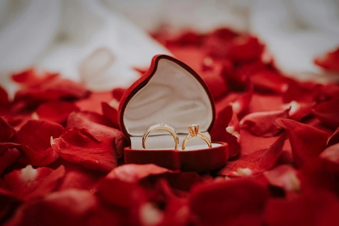 45+ Engagement Wishes to Say Congratulations in a Unique Way