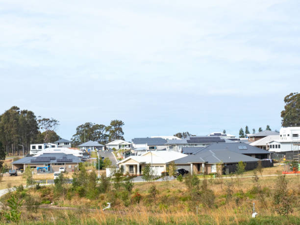Ensuring a Pest-Free Home in Nowra: Your Ultimate Guide