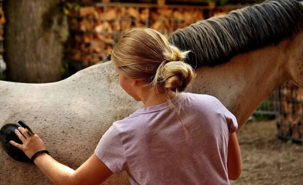 Equestrian Grooming Kit: Must-Have Essentials for Horse Care