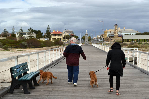 Exploring Adelaide: Top Pet-Friendly Stays for You and Your Furry Friend