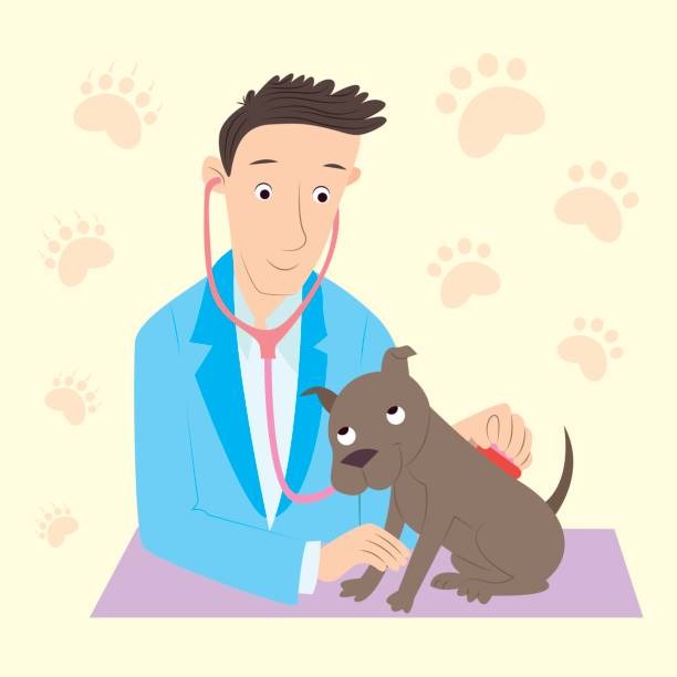 Find Pet Veterinarian for Trusted Local Pet Care Today