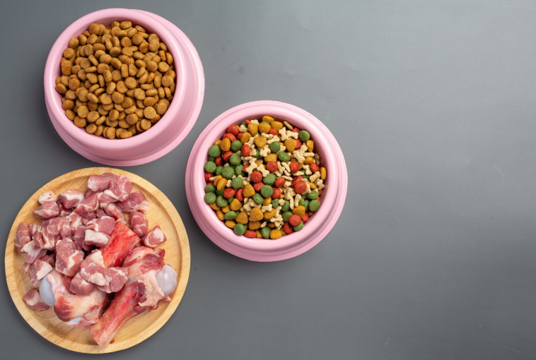 Freeze Dried Dog Food: What It Is, Why It Matters, and How to Choose Well for Your Pet