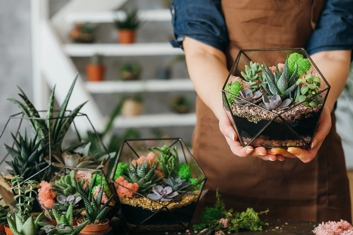 160+ Gardening Gift Ideas to Appreciate Gardening Enthusiasts