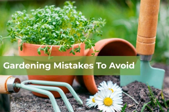10+ Gardening Mistakes to Avoid to Ensure a Thriving Garden