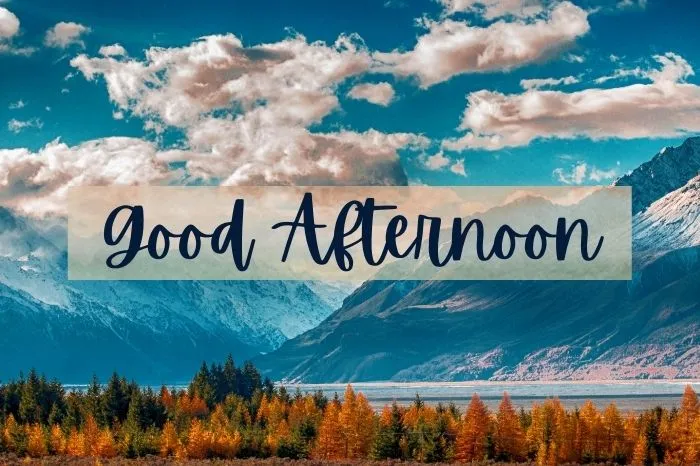 45+ Good Afternoon Blessings Messages & Quotes