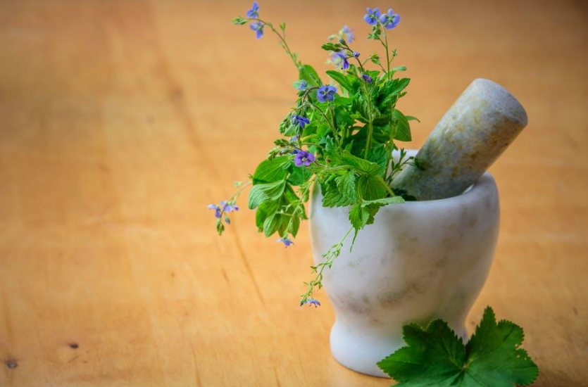 Herbal Remedies for Maintaining Clear Vision in Seniors