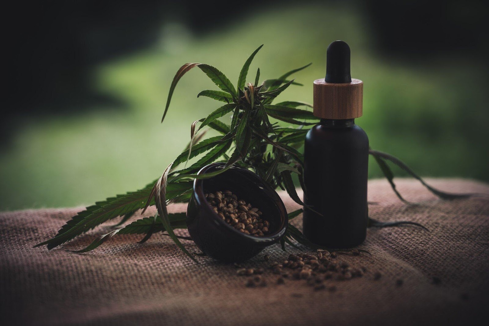 Holistic Dental Care: Integrating CBD into Your Oral Hygiene Routine