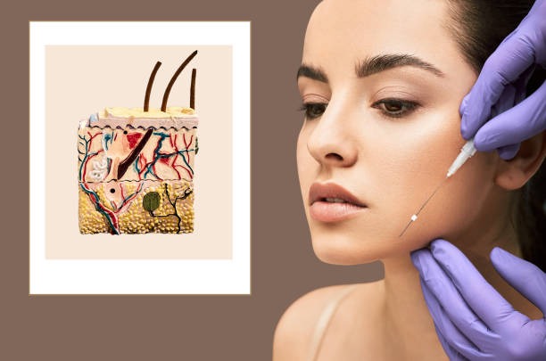 How Botox Works Beneath the Skin According to Vancouver Experts