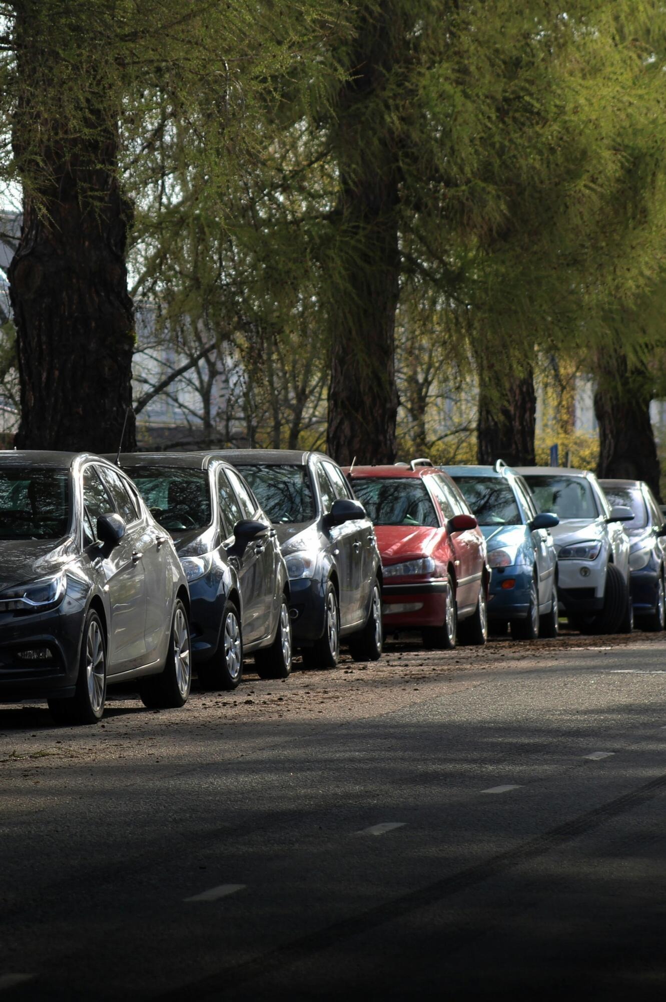How Budget-Friendly Vehicles Deliver Long-Term Value