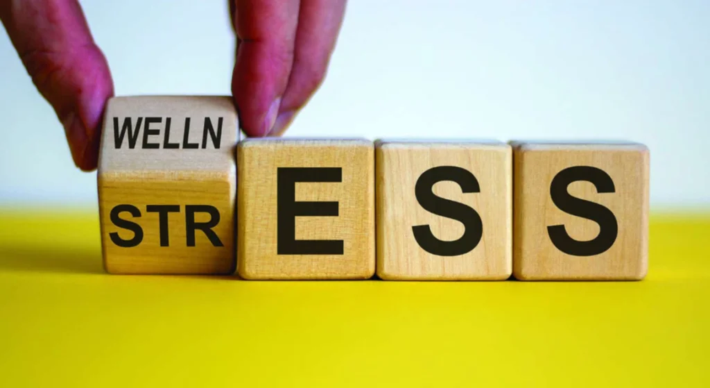 How Delta 8 Gummies Can Support Your Wellness Journey