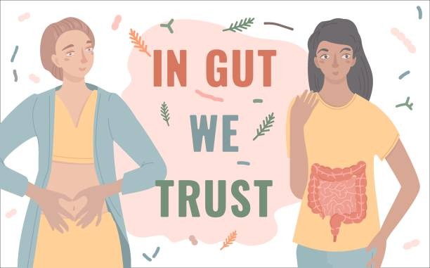 How does gut health influence your hormonal well-being?