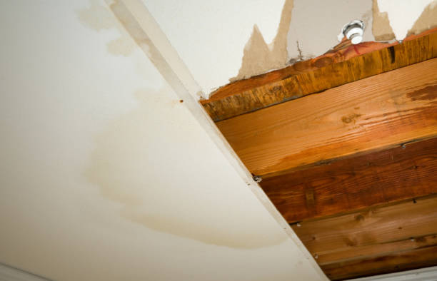 How Quick Response Times Lower the Cost of Home Water Damage