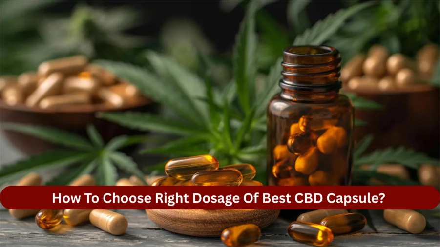 How To Choose Right Dosage Of Best CBD Capsule?