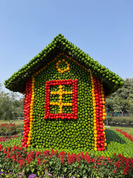 How to Choose the Perfect Lot for Your Custom Home