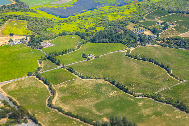 How to Choose the Perfect Sonoma County Event Venue for Your Celebration