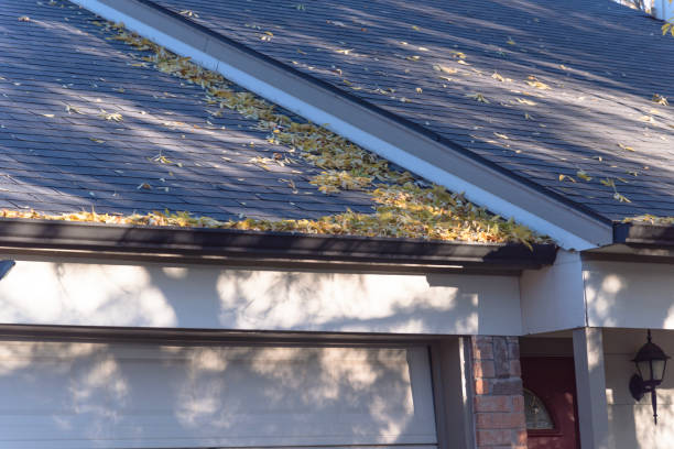 How to Choose the Right Gutter Install Dallas Company for Your Home
