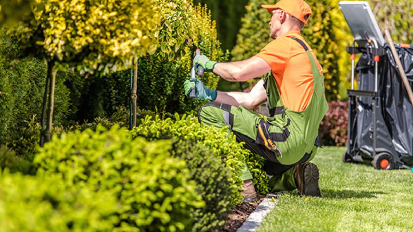 How to Maximize Small Outdoor Spaces with Smart Landscaping Solutions