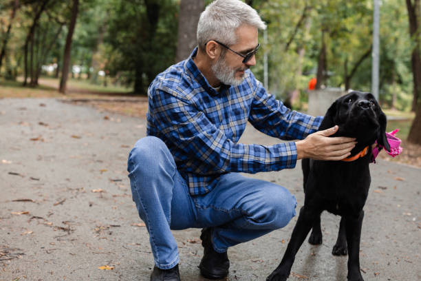 How Weather Changes Can Affect Joint Pain in Older Dogs