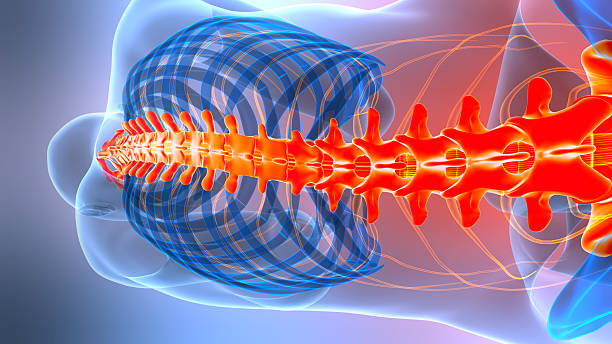 Is Thoracic Spine Surgery Dangerous? What to Know
