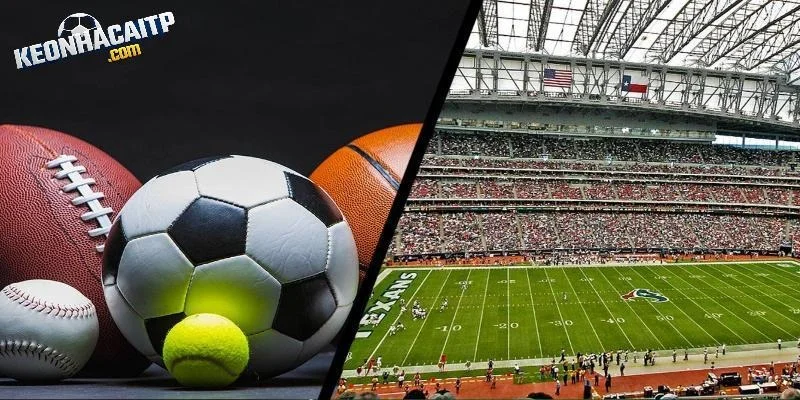 Keonhacai5 Truc Tiep – Professional Football Experience