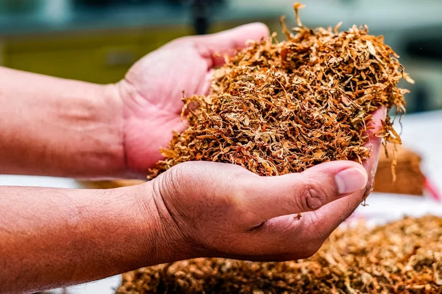 Maximizing Freshness: Essential Tips for Tobacco Packing