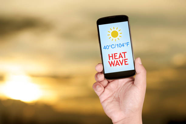 Mobile App Deep Linking: The Secret Path That Makes Apps Smarter
