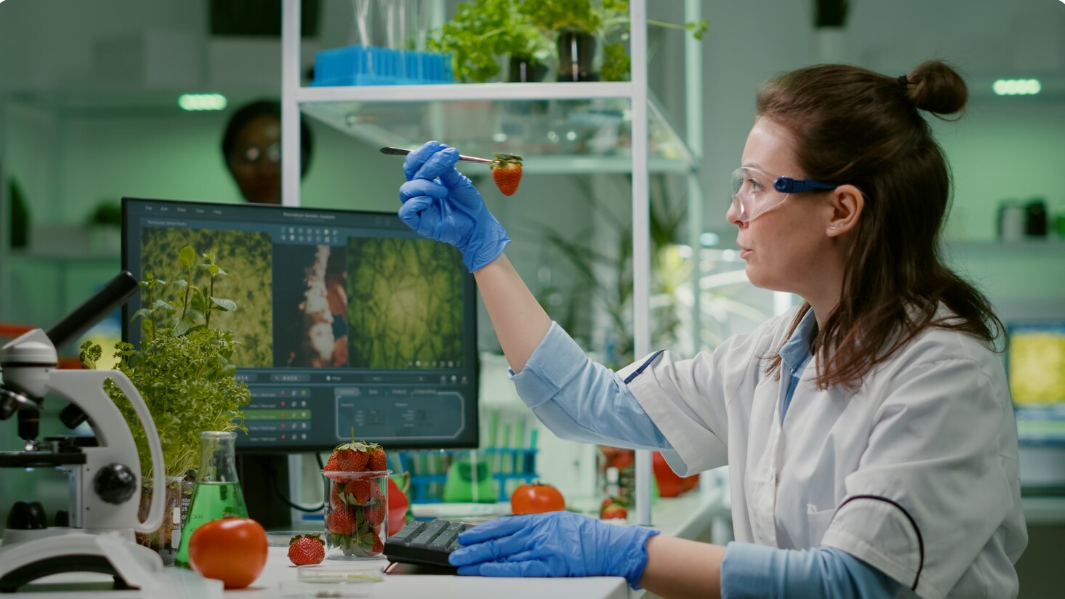 Modern Innovations in Plant-Based Therapies for Chronic Pain Management